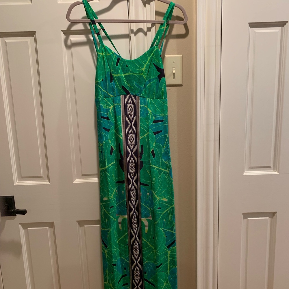 Yoana Baraschi maxi dress